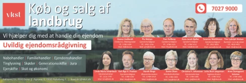 Advertisement Image