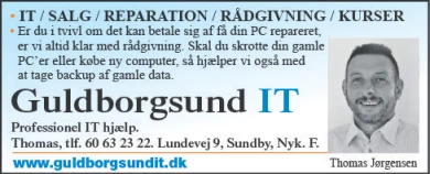 Annonce for  Guldborgsund It Aps