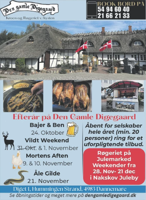 Advertisement Image