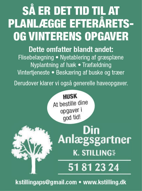 Advertisement Image
