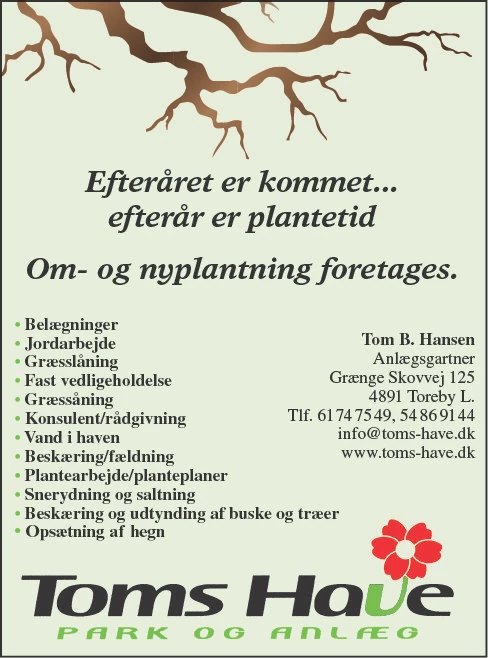 Advertisement Image