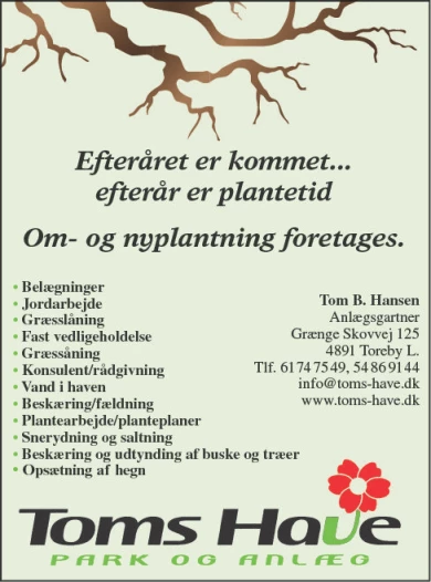 Annonce for  Toms Have
