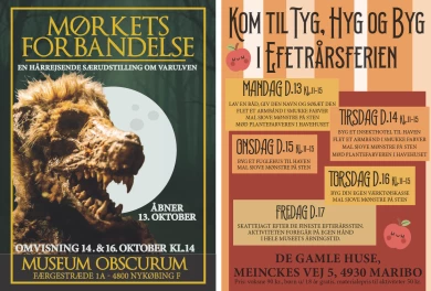 Annonce for  Museum Lolland-Falster